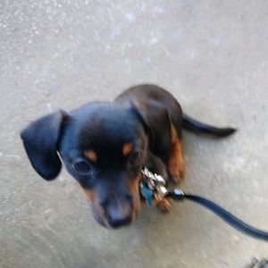 Meet your Posher, Rhonda